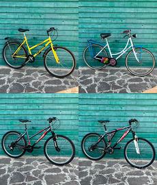 Biciclette usate Torpado, Sliver e City Bike