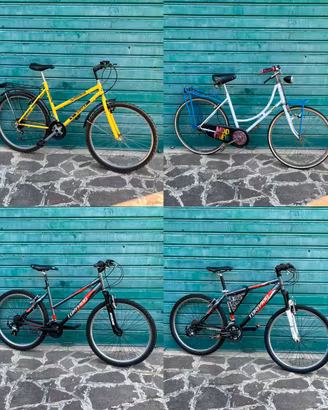 Biciclette usate Torpado, Sliver e City Bike