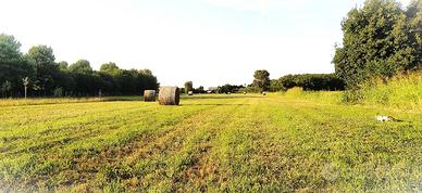 TERRENO AGRICOLO con RUSTICO in BORGO VENETO (PD)