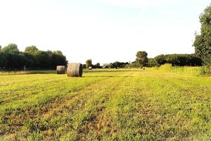 TERRENO AGRICOLO con RUSTICO in BORGO VENETO (PD)