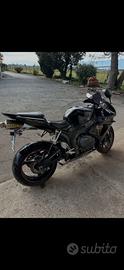 Honda cbr rr 1000