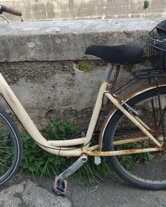 bici donna 