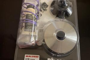 Kit variazione malossi mhr team 2 Zip SP