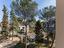 Immagine 28