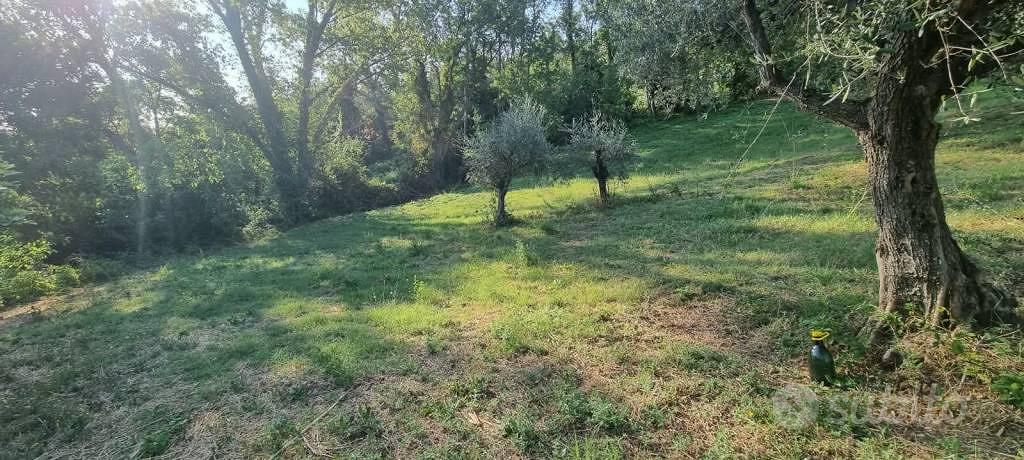 Terreno di 4309 m² a Gemmano - Vista 4