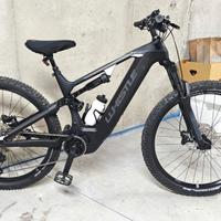 bicicletta elettrica 