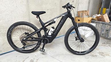 bicicletta elettrica 