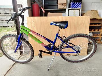 MTB bicicletta