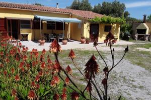 Alghero Tottubella famiglie gruppi 4 - 8 -12 posti