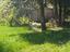 Immagine 10