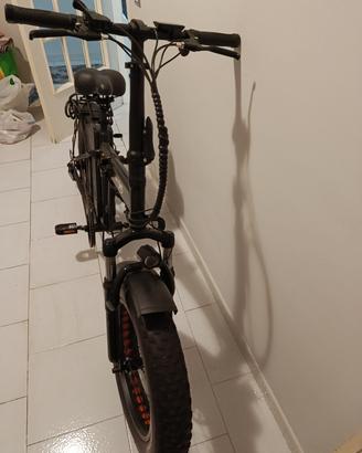 bici elettrica 
