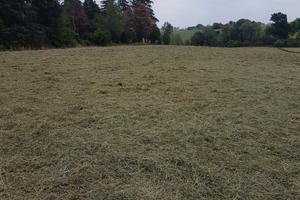 Terreni agricolo con annesso capanno