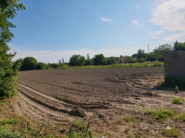 terreno  agricolo  a Portoviro  di 13000 mq
