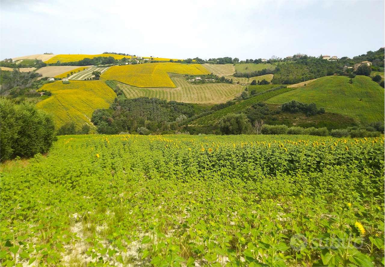 Terreno Agricolo a Carassai - Vista 2