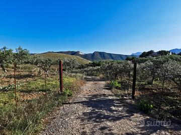 Terreno agricolo