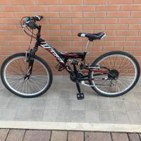 Bicicletta