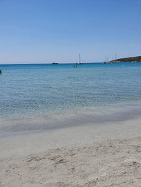 Portopino last minute