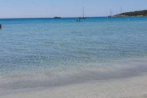 Portopino last minute