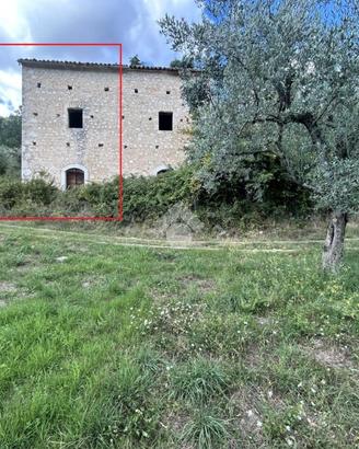 TER. AGRICOLO A ALVITO