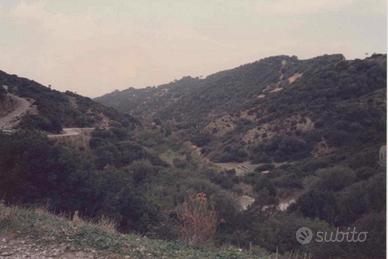 Terreno agricolo San Nicolò - Buggerru