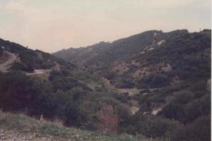 Terreno agricolo San Nicolò - Buggerru