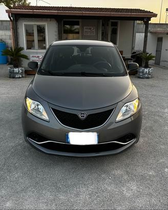 Lancia Ypsilon 1.2 69 CV 5 porte Gold