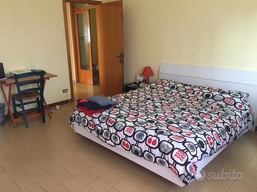 Camera singola in appartamento condiviso
