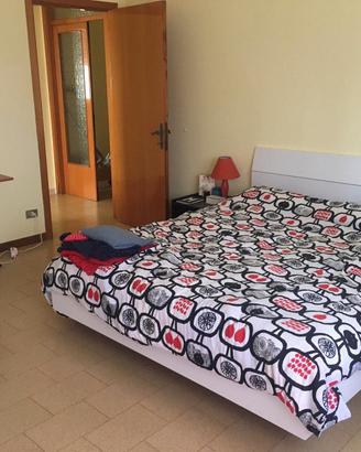 Camera singola in appartamento condiviso
