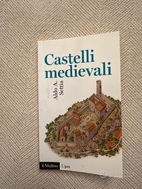 Castelli medievali. Aldo A. Settia