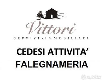 Torrita di Siena (SI), cedesi attività di falegna