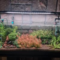 Acquario completo di tutto