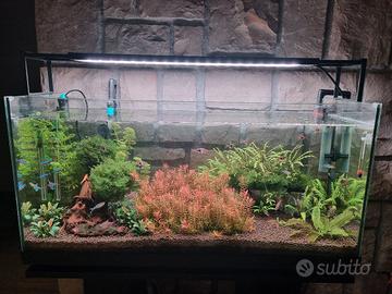 Acquario completo di tutto