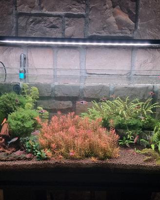 Acquario completo di tutto