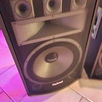 KARMA BX115 COPPIA CASSE PASSIVE 500 WATT 