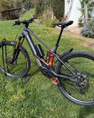 Orbea Wild M Team