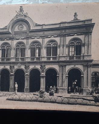 cartoline 
