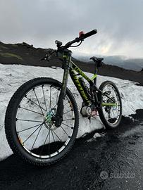 e-bike 14kg carbonio UNICA