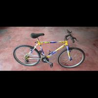 Bicicletta MTB Apollo
