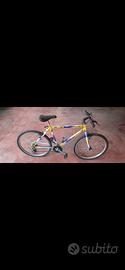 Bicicletta MTB Apollo