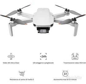 DJI MINI 2 COMBO FLY MORE (prezzo trattabile)