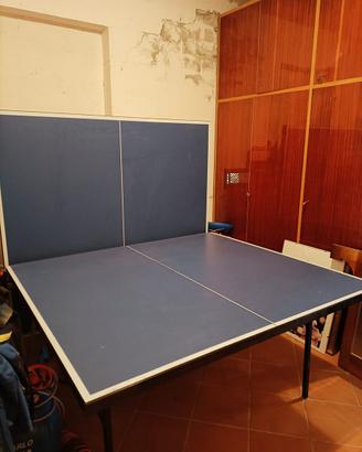 Tavolo da ping pong