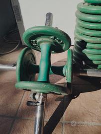 spor palestra