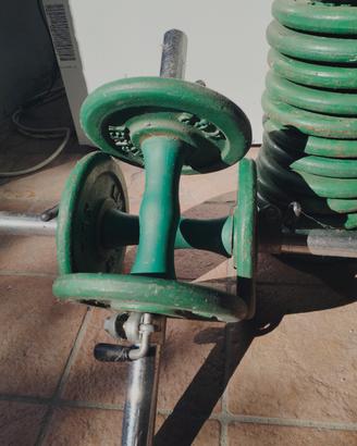 spor palestra