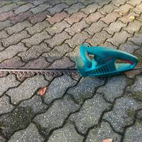 Tagliasiepi