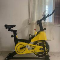 Cyclette Spinning Professionale