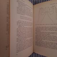 Martin Gardner enigmi e giochi matematici 6