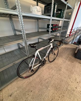 Bici Da Corsa Olimpia Speedy