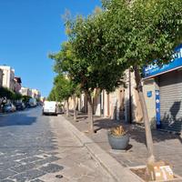 Locale commerciale in centro Torremaggiore (FG)