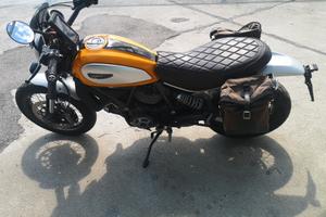 ducati scrambler 800cc 2016
