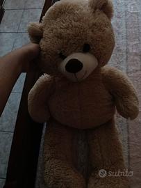 orso gigante